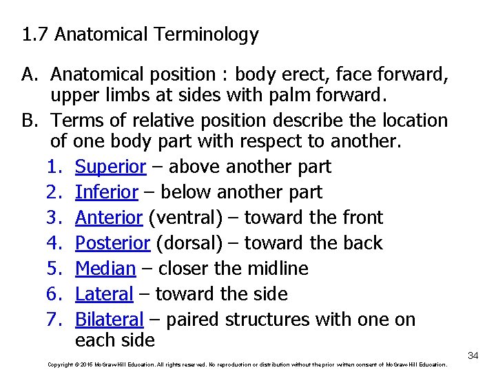 1. 7 Anatomical Terminology A. Anatomical position : body erect, face forward, upper limbs
