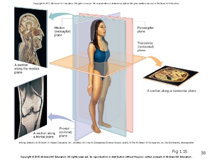 Fig 1. 15 Copyright © 2015 Mc. Graw-Hill Education. All rights reserved. No reproduction