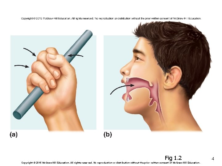 Fig 1. 2 Copyright © 2015 Mc. Graw-Hill Education. All rights reserved. No reproduction