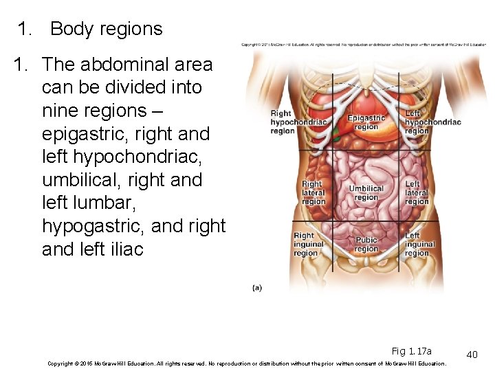 1. Body regions 1. The abdominal area can be divided into nine regions –