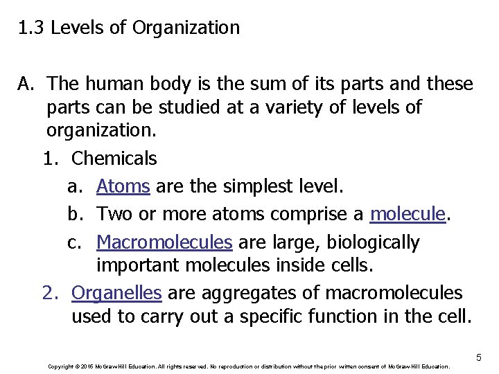 1. 3 Levels of Organization A. The human body is the sum of its