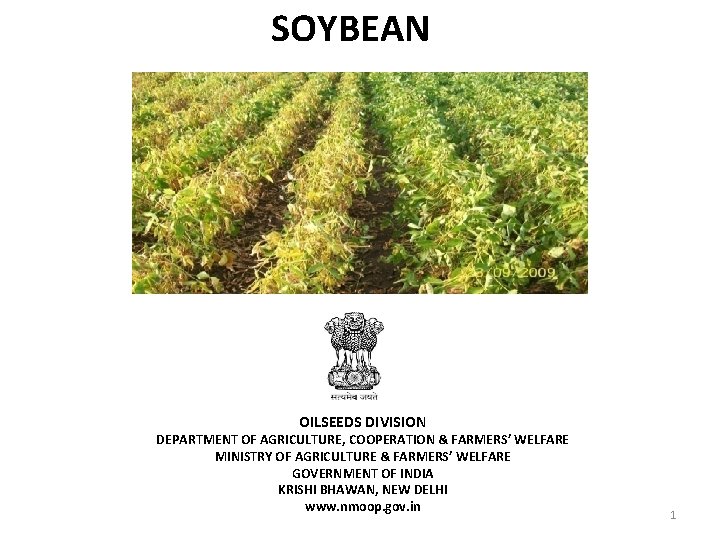 SOYBEAN OILSEEDS DIVISION DEPARTMENT OF AGRICULTURE, COOPERATION & FARMERS’ WELFARE MINISTRY OF AGRICULTURE &