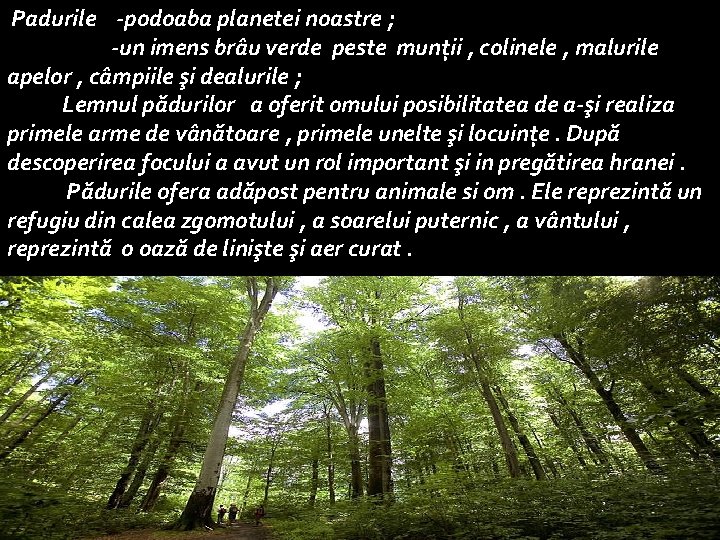  Padurile -podoaba planetei noastre ; -un imens brâu verde peste munţii , colinele