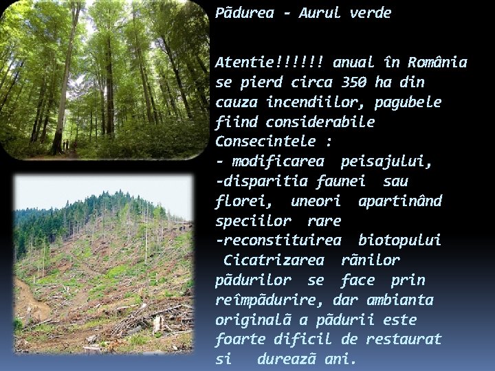 Pãdurea - Aurul verde Atentie!!!!!! anual în România se pierd circa 350 ha din Pãdurea - Aurul verde Atentie!!!!!! anual în România se pierd circa 350 ha din