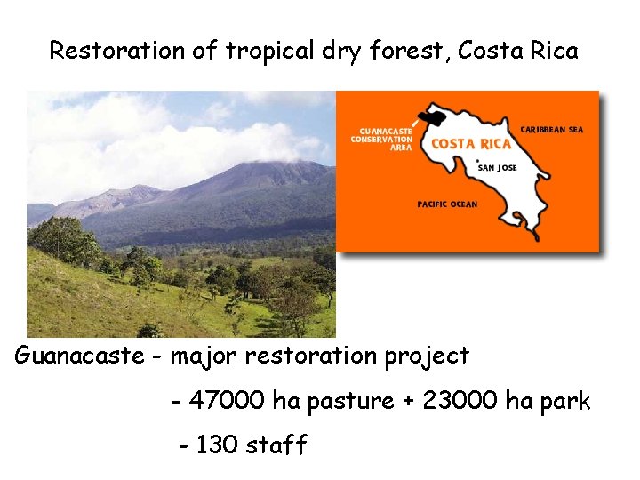 Restoration of tropical dry forest, Costa Rica Guanacaste - major restoration project - 47000
