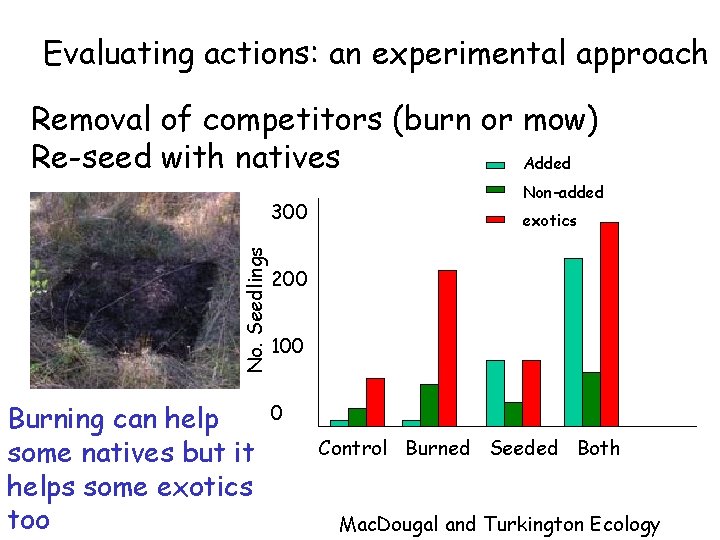 Evaluating actions: an experimental approach Removal of competitors (burn or mow) Re-seed with natives