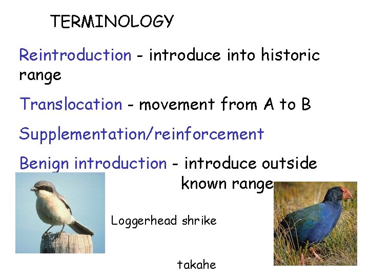 TERMINOLOGY Reintroduction - introduce into historic range Translocation - movement from A to B