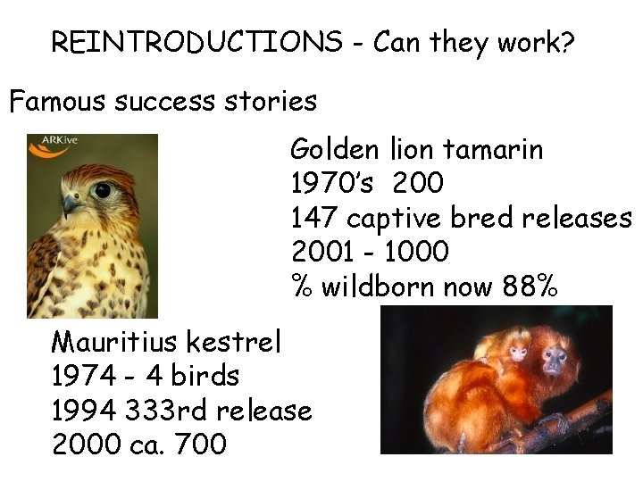 REINTRODUCTIONS - Can they work? Famous success stories Golden lion tamarin 1970’s 200 147