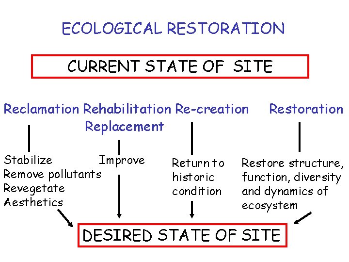 ECOLOGICAL RESTORATION CURRENT STATE OF SITE Reclamation Rehabilitation Re-creation Replacement Stabilize Improve Remove pollutants