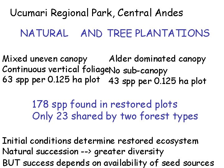 Ucumari Regional Park, Central Andes NATURAL AND TREE PLANTATIONS Mixed uneven canopy Alder dominated