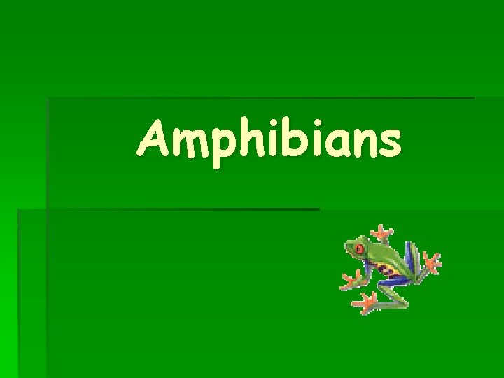 Amphibians 