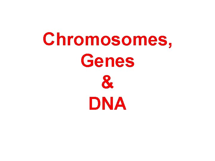 Chromosomes, Genes & DNA 