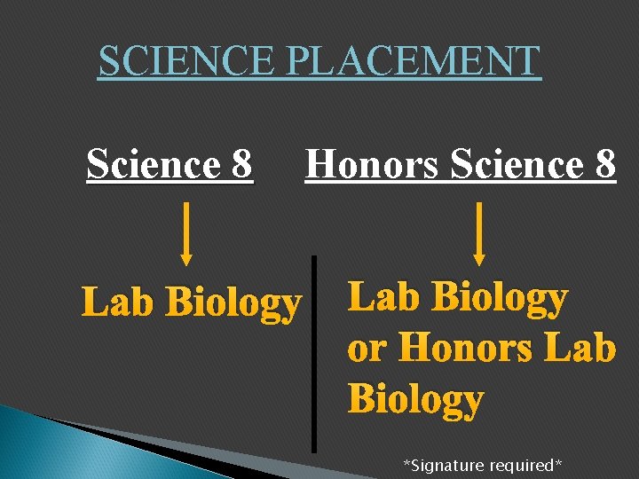 SCIENCE PLACEMENT Science 8 Lab Biology Honors Science 8 Lab Biology or Honors Lab