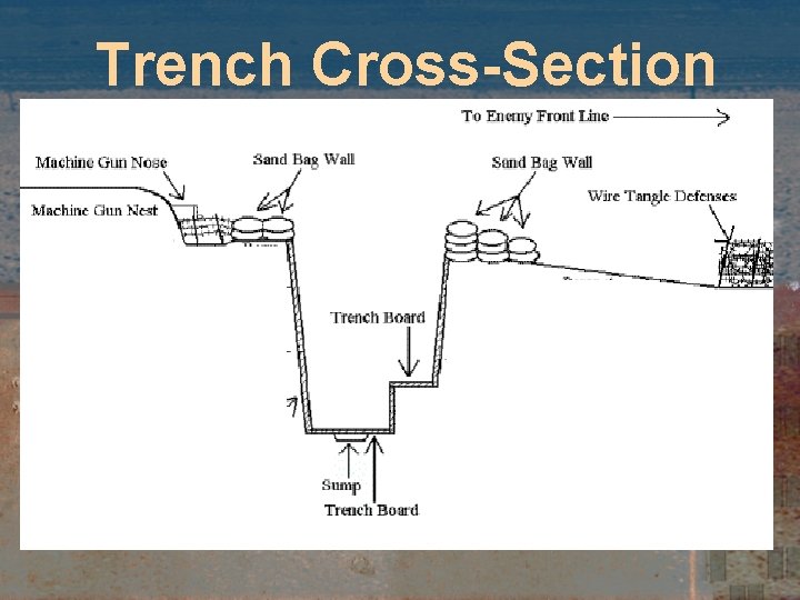 Trench Cross-Section Trench Cross-Section
