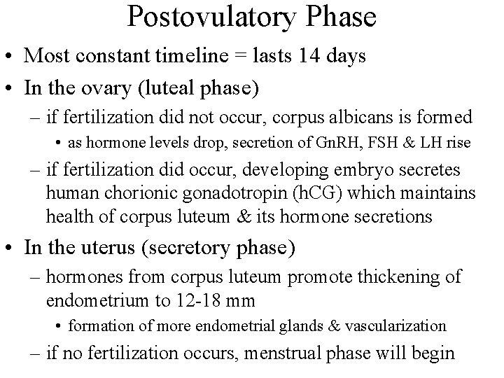 Postovulatory Phase • Most constant timeline = lasts 14 days • In the ovary