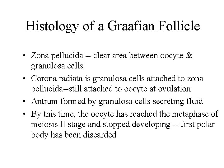 Histology of a Graafian Follicle • Zona pellucida -- clear area between oocyte &