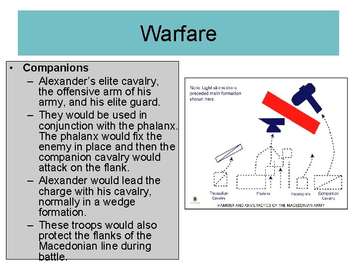 Warfare • Companions – Alexander’s elite cavalry, the offensive arm of his army, and