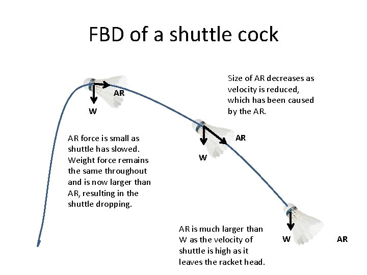 FBD of a shuttle cock Size of AR decreases as velocity is reduced, which