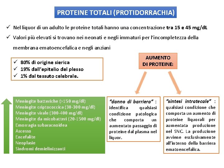 PROTEINE TOTALI (PROTIDORRACHIA) ü Nel liquor di un adulto le proteine totali hanno una