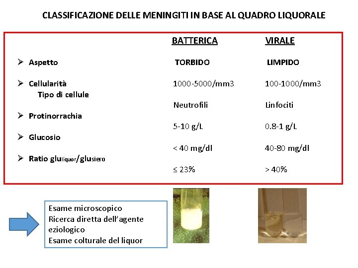 CLASSIFICAZIONE DELLE MENINGITI IN BASE AL QUADRO LIQUORALE BATTERICA VIRALE Ø Aspetto TORBIDO LIMPIDO