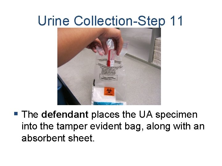 Urine Collection-Step 11 § The defendant places the UA specimen into the tamper evident