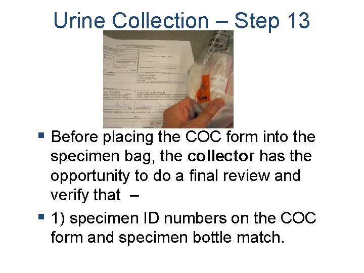 Urine Collection – Step 13 § Before placing the COC form into the specimen