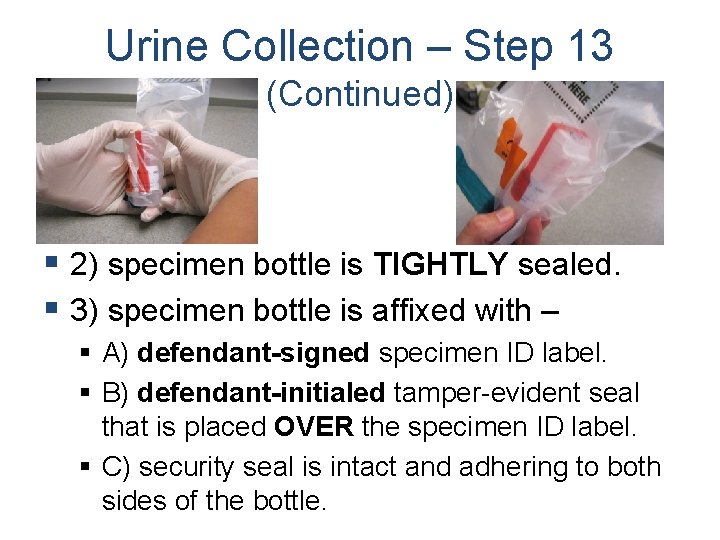 Urine Collection – Step 13 (Continued) § 2) specimen bottle is TIGHTLY sealed. §