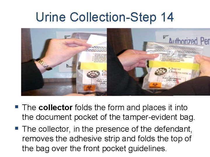 Urine Collection-Step 14 § The collector folds the form and places it into the