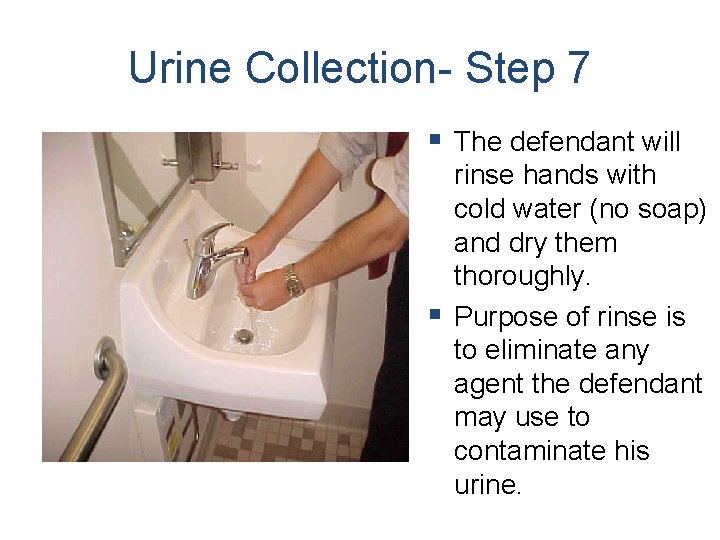 Urine Collection- Step 7 § The defendant will rinse hands with cold water (no