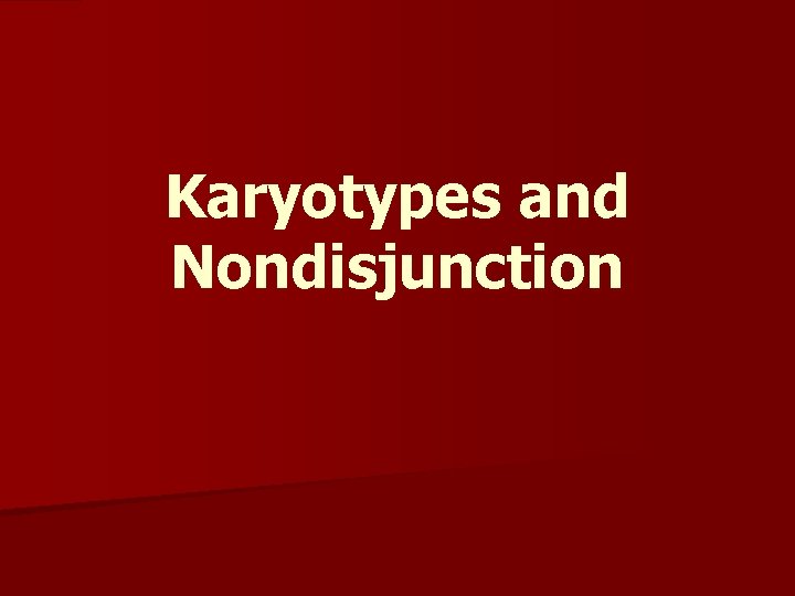 Karyotypes and Nondisjunction 
