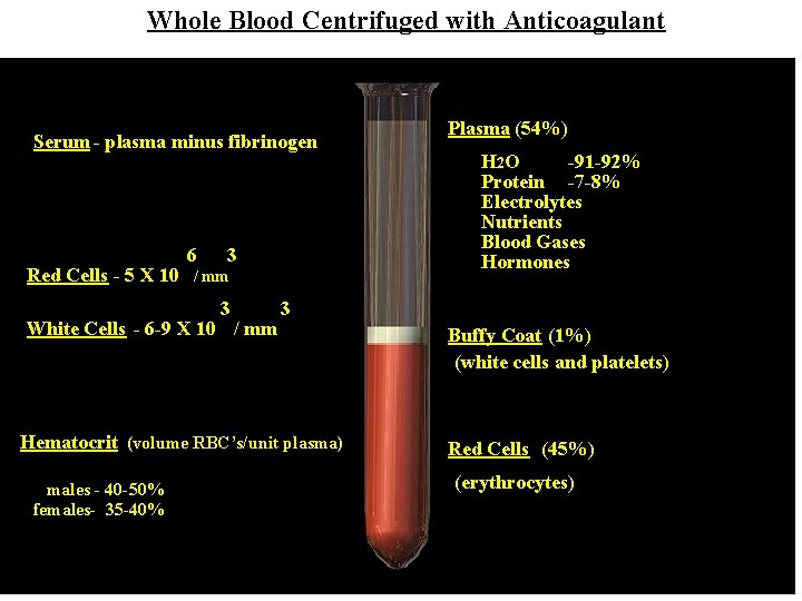 Whole Blood Centrifuged with Anticoagulant Serum - plasma minus fibrinogen Red Cells - 5