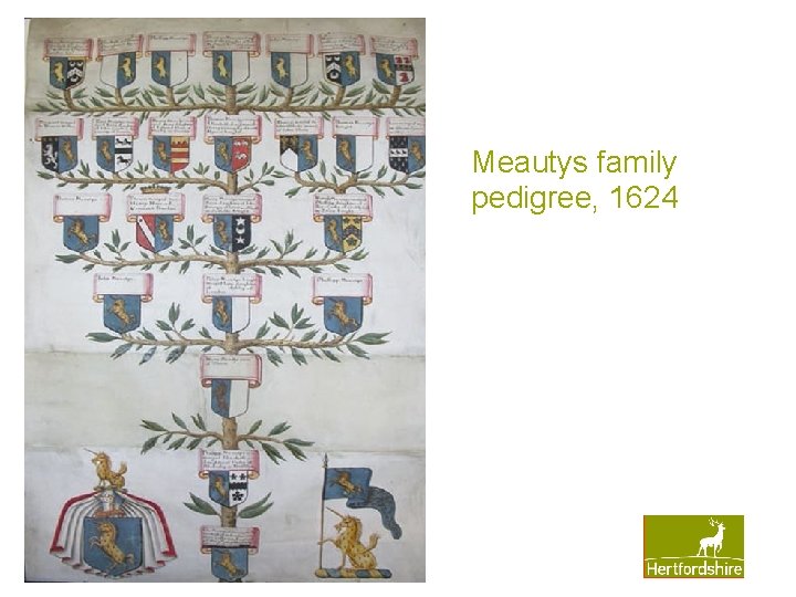 Meautys family pedigree, 1624 www. hertsdirect. org Meautys family pedigree, 1624 www. hertsdirect. org