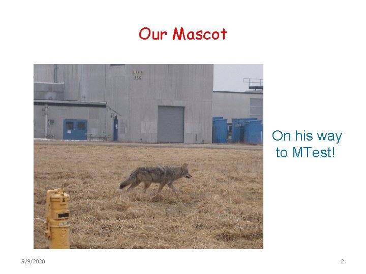 Our Mascot On his way to MTest! 9/9/2020 2 