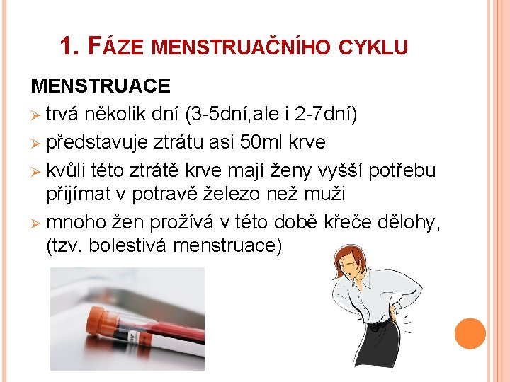1. FÁZE MENSTRUAČNÍHO CYKLU MENSTRUACE Ø trvá několik dní (3 -5 dní, ale i 1. FÁZE MENSTRUAČNÍHO CYKLU MENSTRUACE Ø trvá několik dní (3 -5 dní, ale i