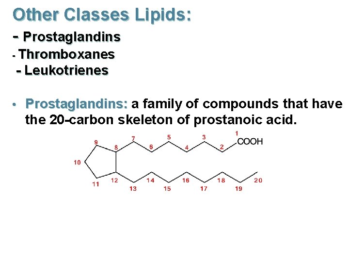 Other Classes Lipids: - Prostaglandins - Thromboxanes - Leukotrienes • Prostaglandins: a family of