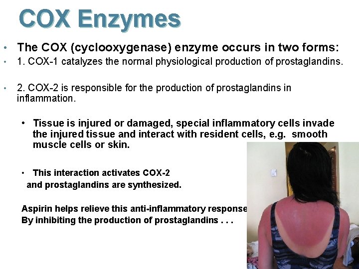 COX Enzymes • The COX (cyclooxygenase) enzyme occurs in two forms: • 1. COX-1