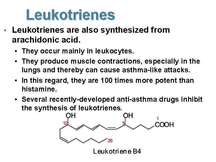 Leukotrienes • Leukotrienes are also synthesized from arachidonic acid. • They occur mainly in