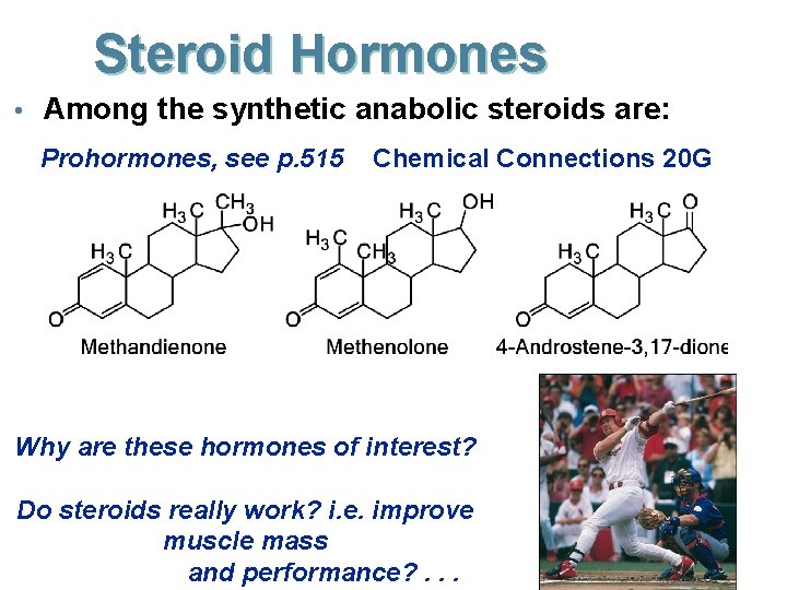 Steroid Hormones • Among the synthetic anabolic steroids are: Prohormones, see p. 515 Chemical