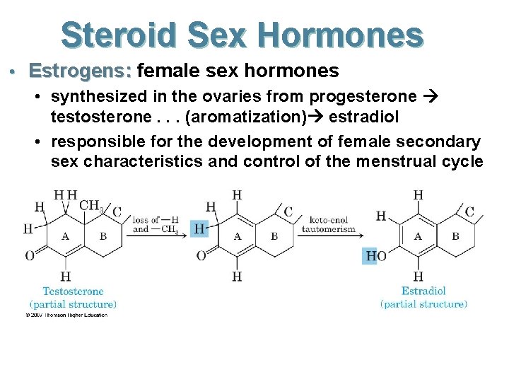 Steroid Sex Hormones • Estrogens: female sex hormones • synthesized in the ovaries from