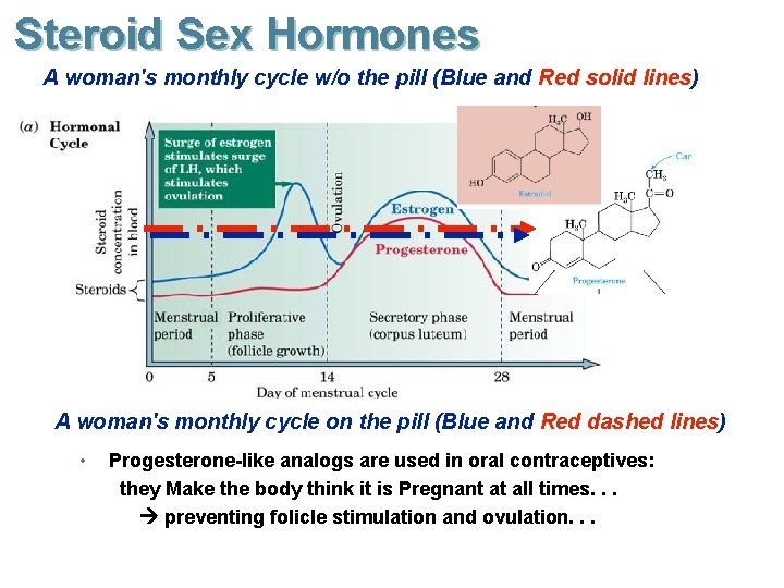 Steroid Sex Hormones A woman's monthly cycle w/o the pill (Blue and Red solid