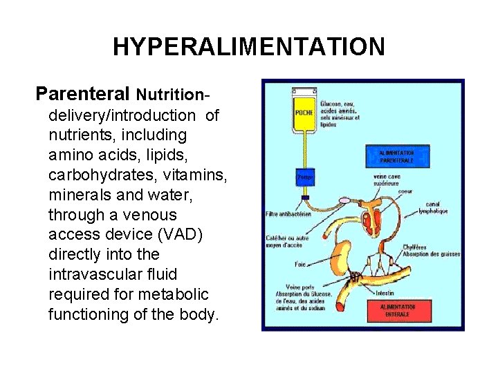 HYPERALIMENTATION Parenteral Nutritiondelivery/introduction of nutrients, including amino acids, lipids, carbohydrates, vitamins, minerals and water,