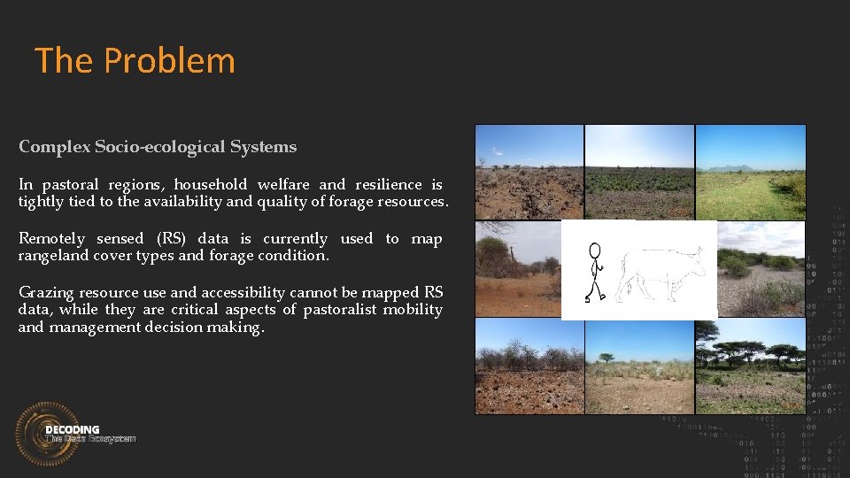 The Problem Complex Socio-ecological Systems In pastoral regions, household welfare and resilience is tightly