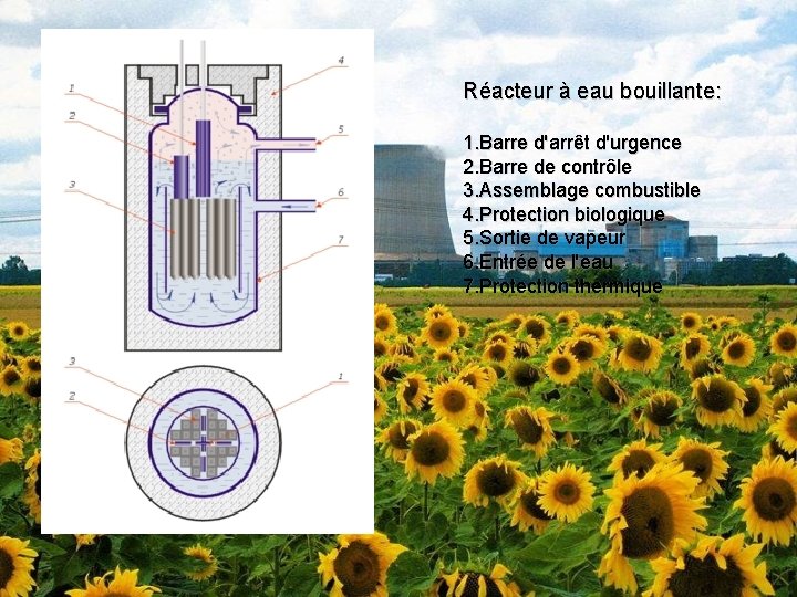 Réacteur à eau bouillante: 1. Barre d'arrêt d'urgence 2. Barre de contrôle 3. Assemblage