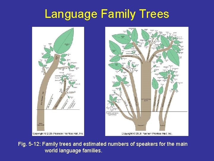 Language Family Trees Fig. 5 -12: Family trees and estimated numbers of speakers for