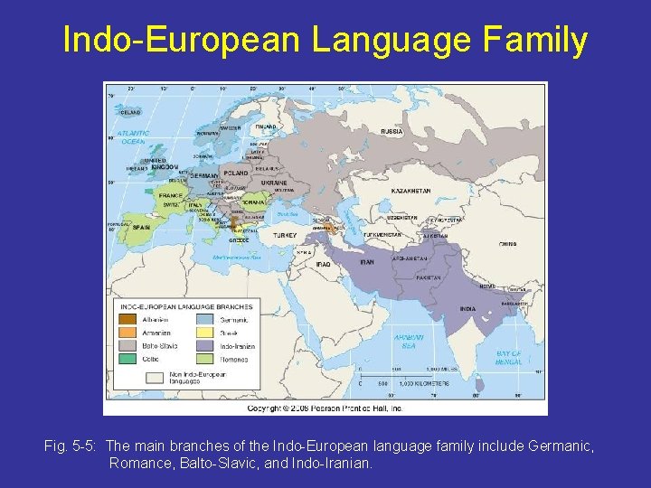 Indo-European Language Family Fig. 5 -5: The main branches of the Indo-European language family