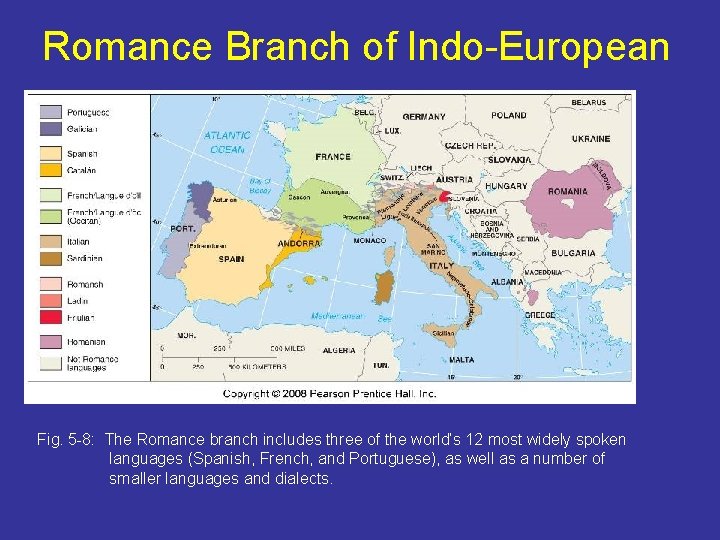 Romance Branch of Indo-European Fig. 5 -8: The Romance branch includes three of the