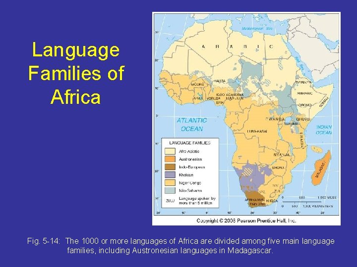 Language Families of Africa Fig. 5 -14: The 1000 or more languages of Africa
