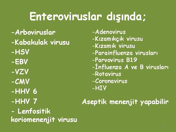 Enteroviruslar dışında; -Adenovirus -Arboviruslar -Kızamıkçık virusu -Kabakulak virusu -Kızamık virusu -HSV -Parainfluenza virusları -Parvovirus