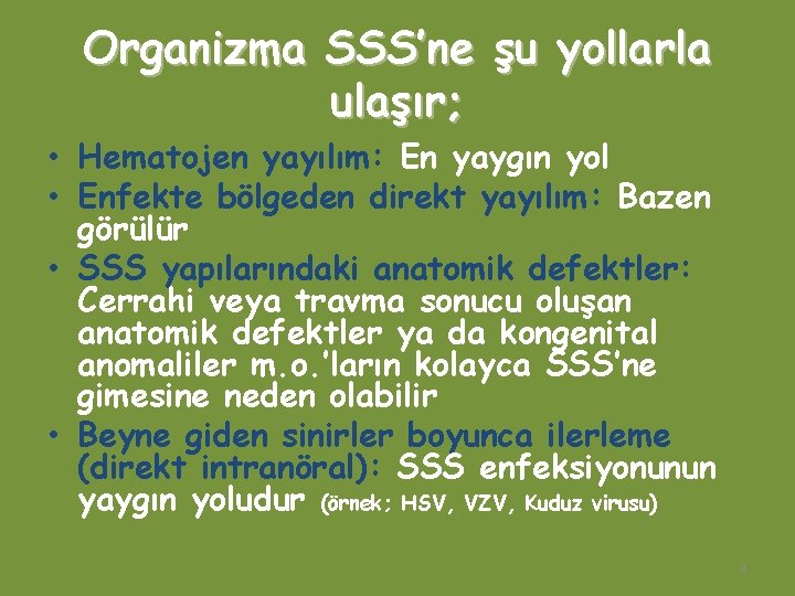 Organizma SSS’ne şu yollarla ulaşır; • Hematojen yayılım: En yaygın yol • Enfekte bölgeden