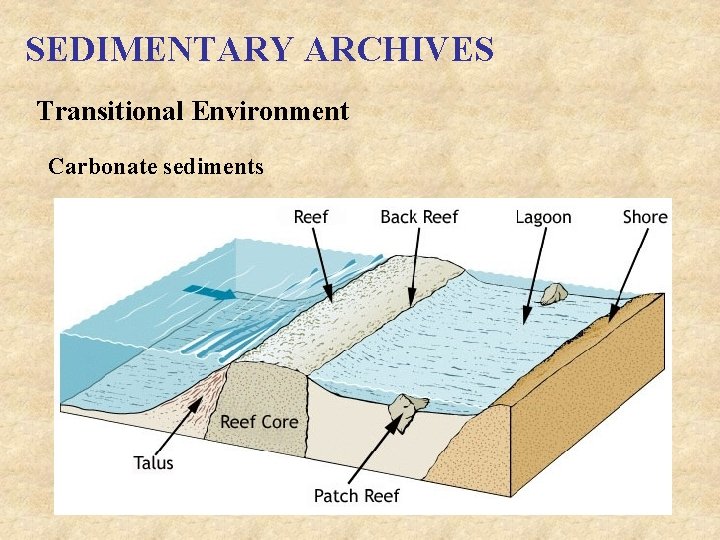 SEDIMENTARY ARCHIVES Transitional Environment Carbonate sediments 
